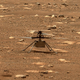 The Ingenuity helicopter standing on the surface of Mars, imaged by Perseverance rover.